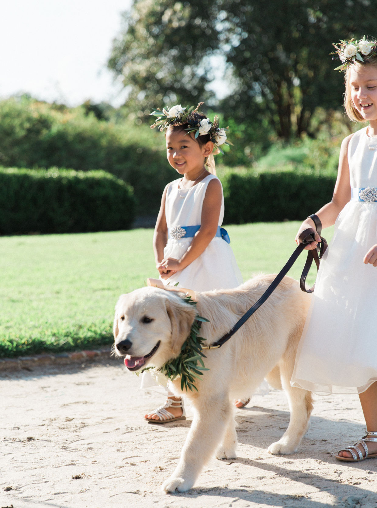 View More: http://simplysarah.pass.us/morgan-daniel-wedding